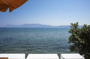 Kissamia - Next To Night Clubs